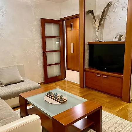 Cozy Modern 公寓 波德戈里察